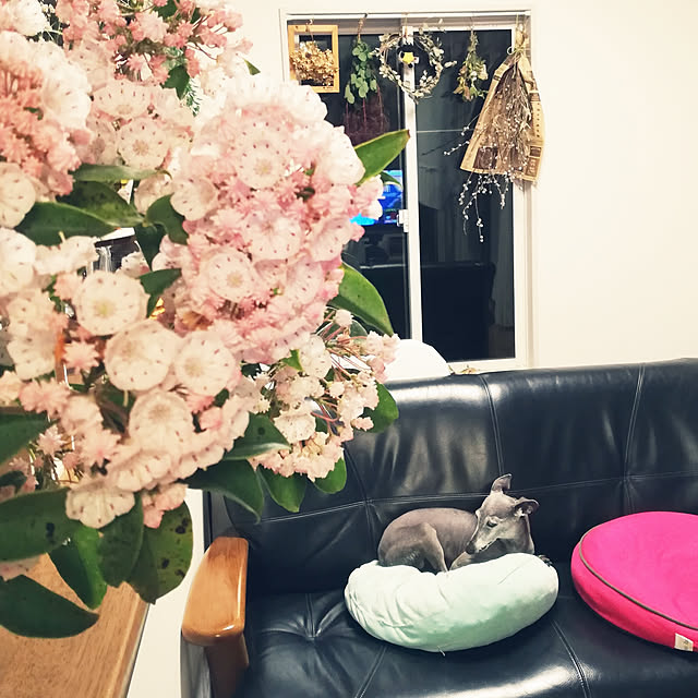 bambiさんの実例写真