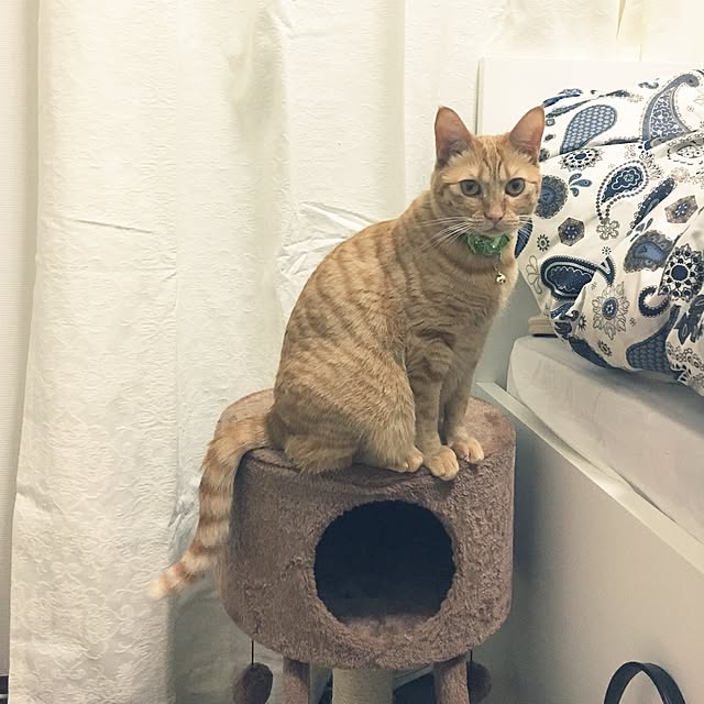 ta.18さんの実例写真