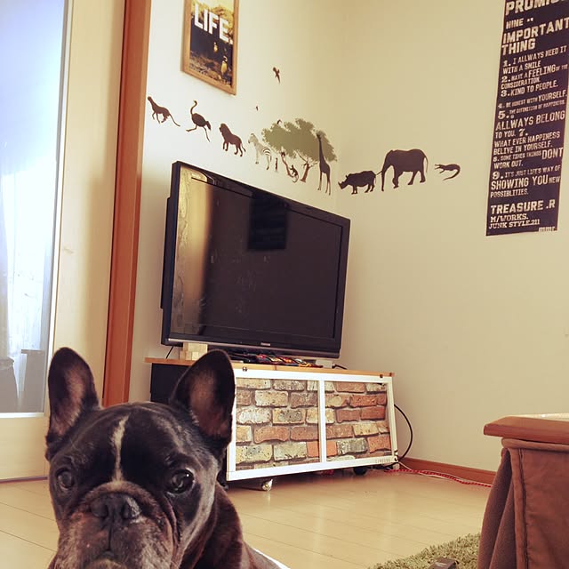 rinsさんの実例写真