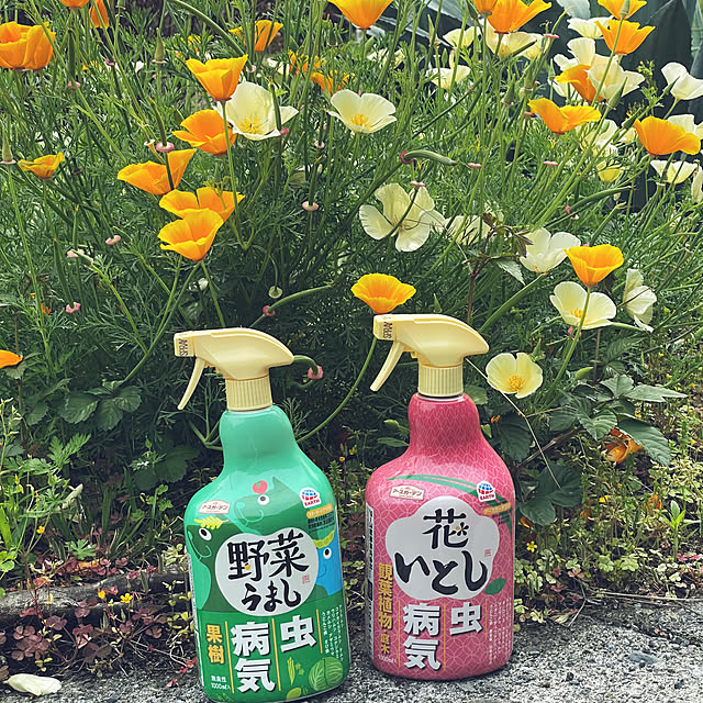 kabu10さんの実例写真
