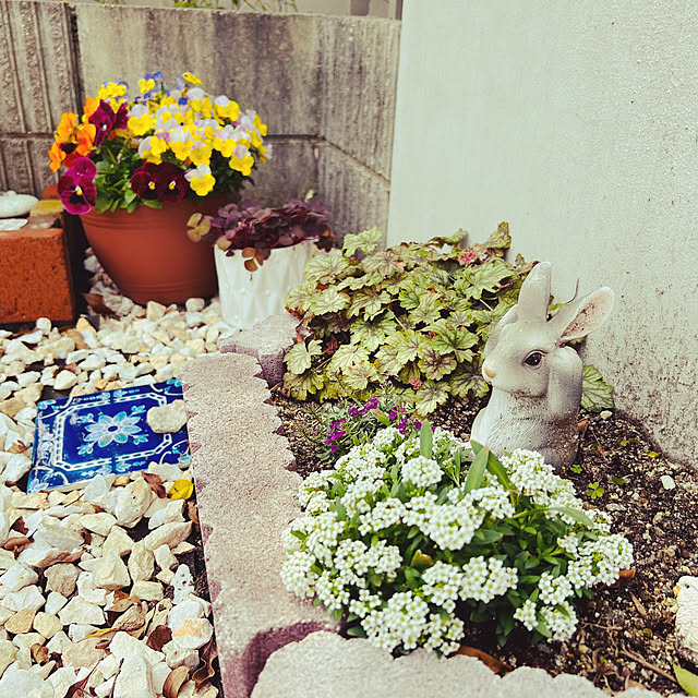 Saraさんの実例写真