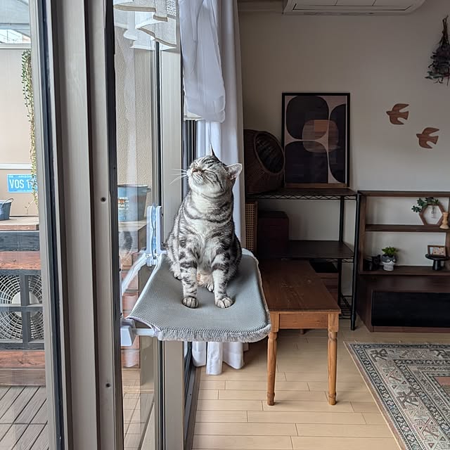 lovepeaceさんの実例写真
