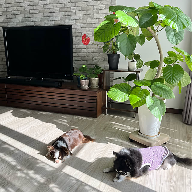 Hannahさんの実例写真