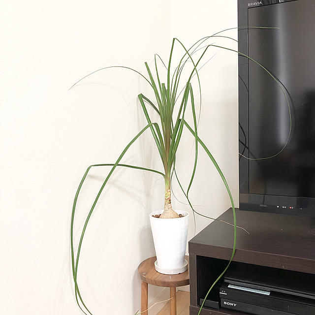 azureさんの部屋