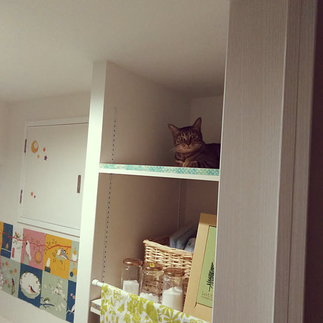 futukoさんの実例写真