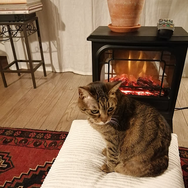 nahocさんの実例写真