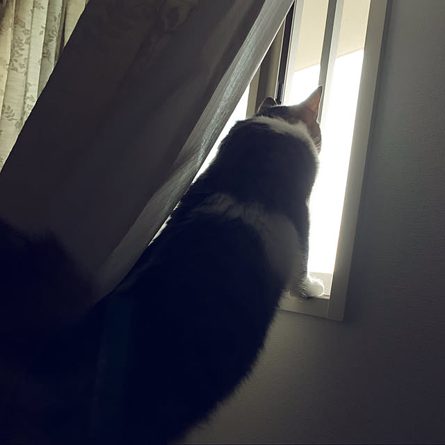 sachiさんの実例写真