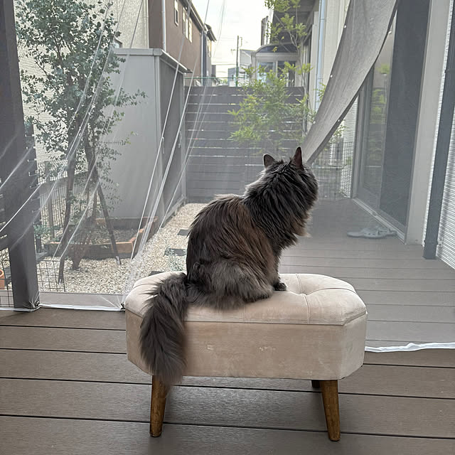 AYAさんの実例写真
