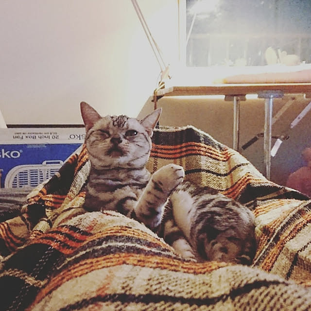 La12さんの実例写真