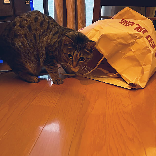 Mさんの実例写真