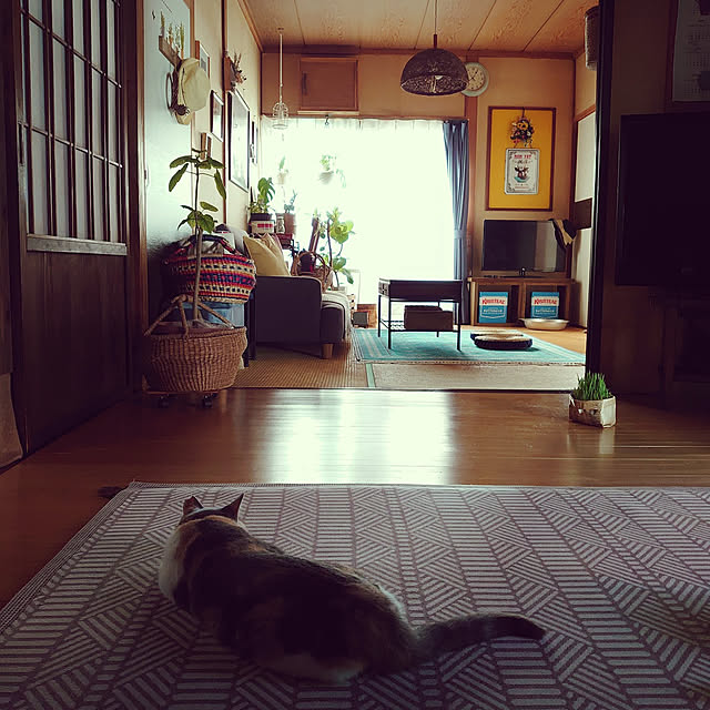fukuさんの実例写真