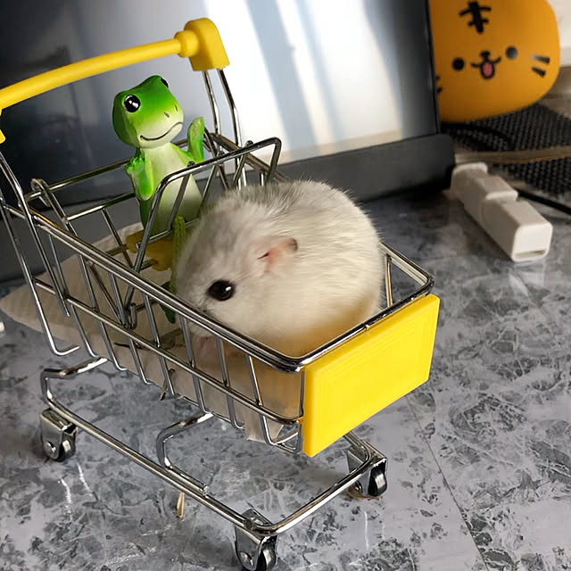 Shoさんの実例写真