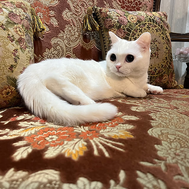 AYUKOさんの部屋