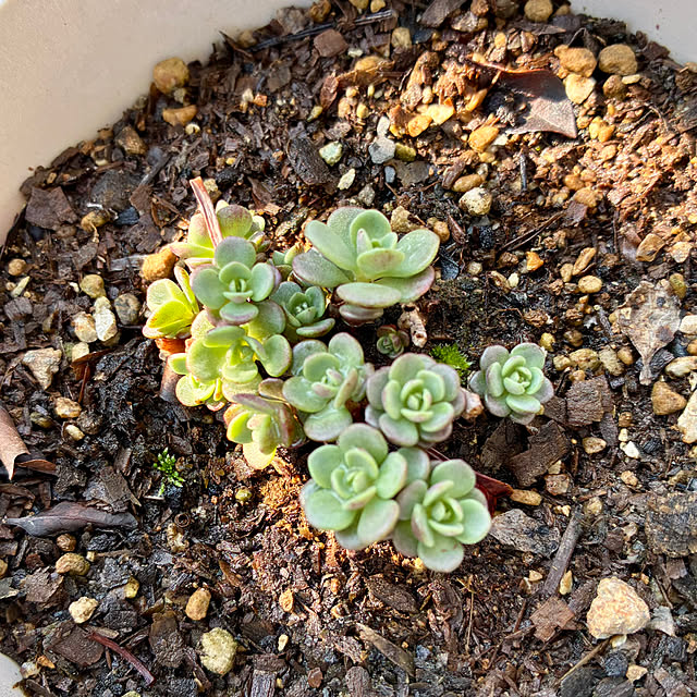 ayayayayaさんの部屋