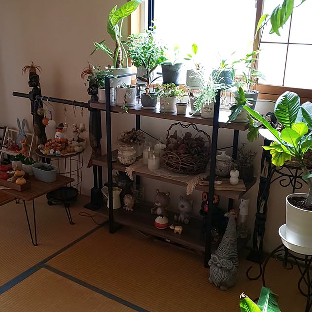 yumiyumiさんの実例写真