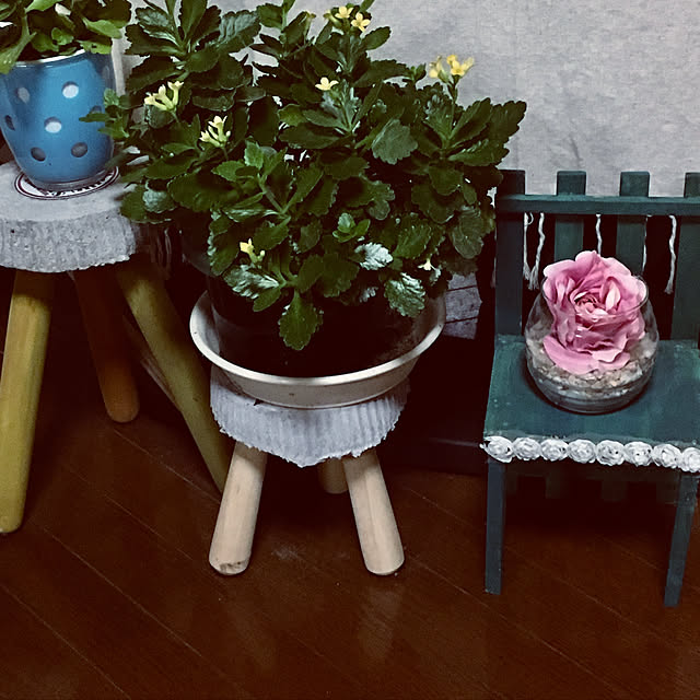 MIYUさんの実例写真