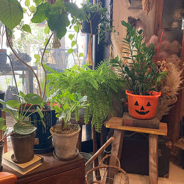 izumiさんの部屋