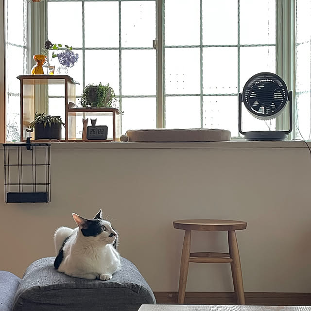 nobikoさんの部屋