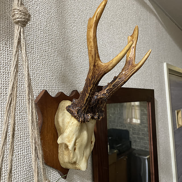 DIY 鹿の角のインテリア・手作りの実例 ｜ RoomClip（ルーム