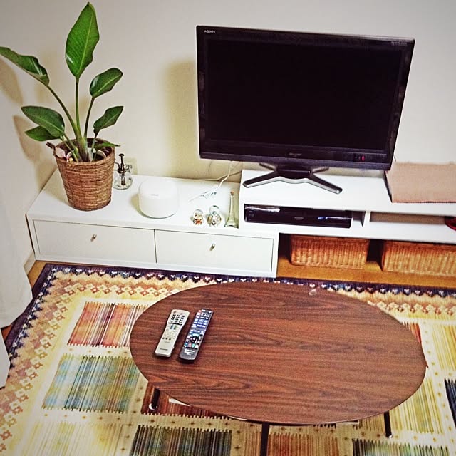 部屋全体/観葉植物/一人暮らしのインテリア実例 - 2014-01-13 21:31:47