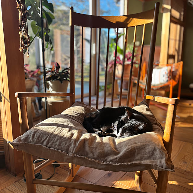 443さんの実例写真