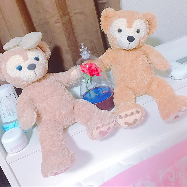 ayuayuayuppiさんの実例写真