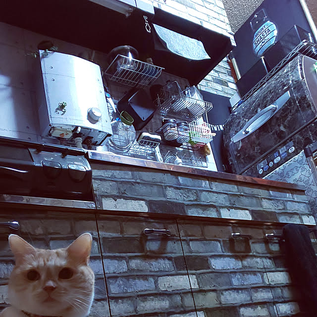 kobakissaさんの実例写真
