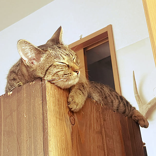Mさんの部屋
