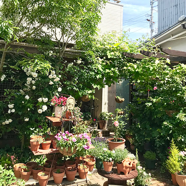 butachanさんの実例写真
