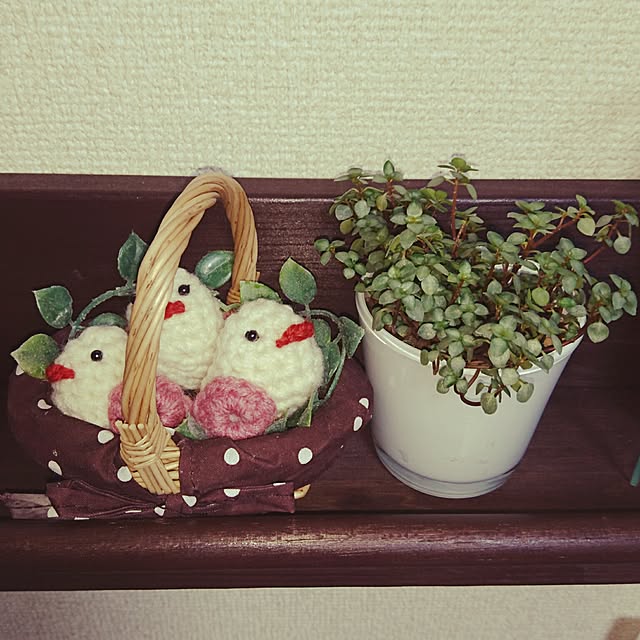 YUKIさんの実例写真