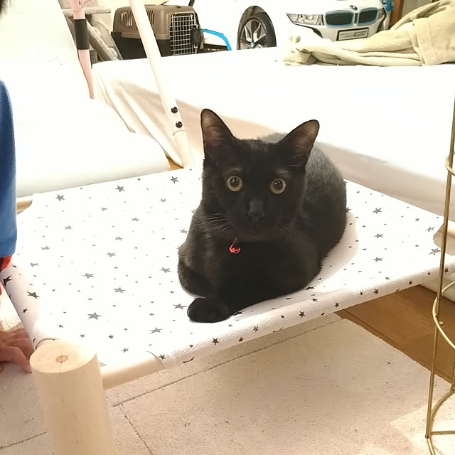 Tさんの実例写真