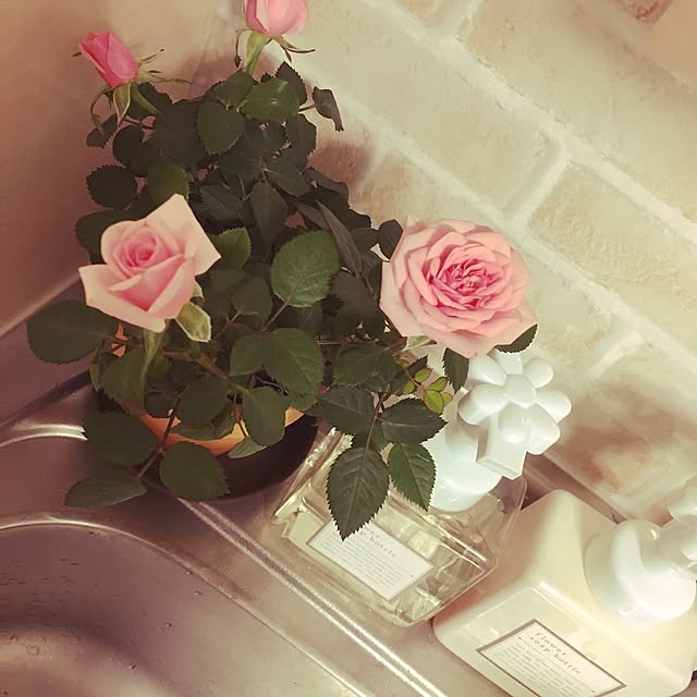 実例写真