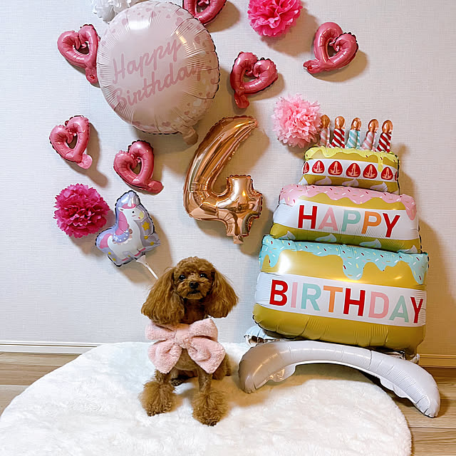 arinonさんの実例写真