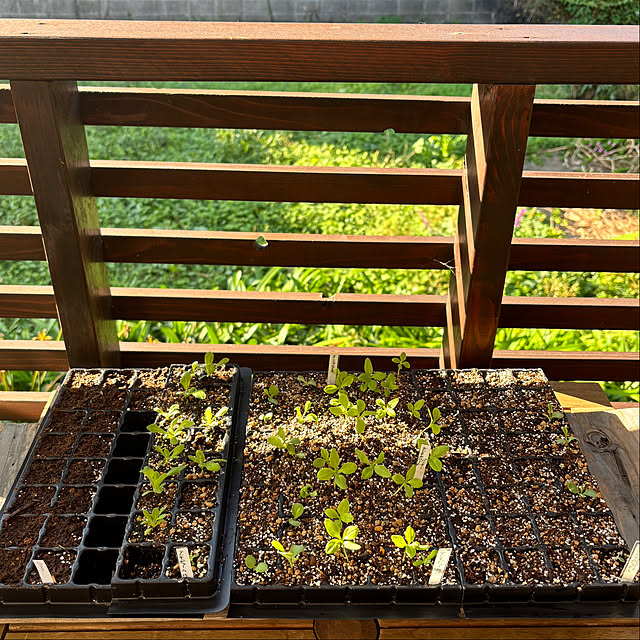 kyoko1124koさんの部屋