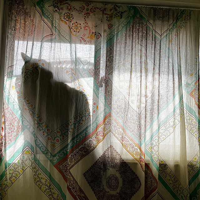 mikan161さんの実例写真
