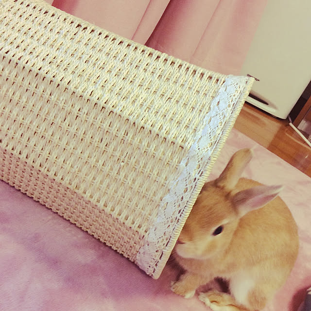 peco.さんの実例写真
