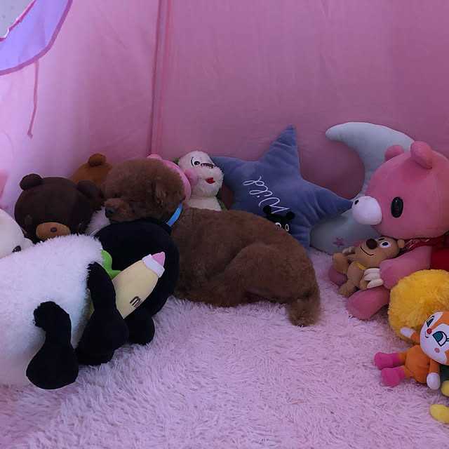 tietieさんの実例写真