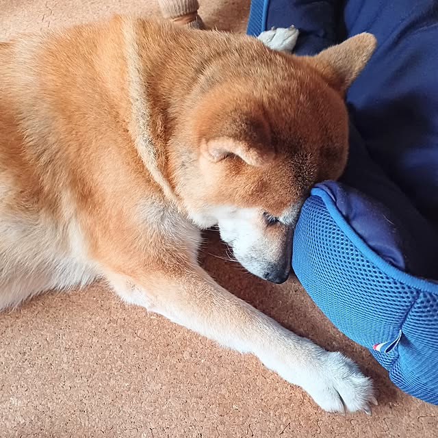 nanaさんの部屋