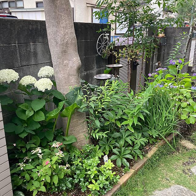 mamaさんの実例写真