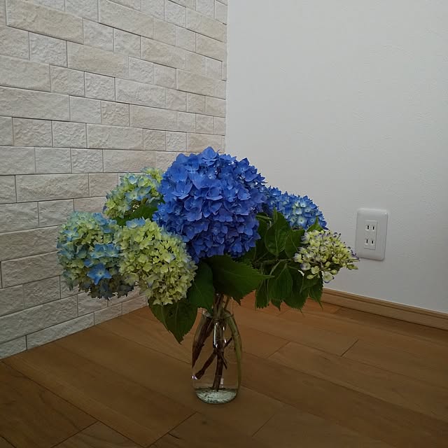 anemone37さんの実例写真