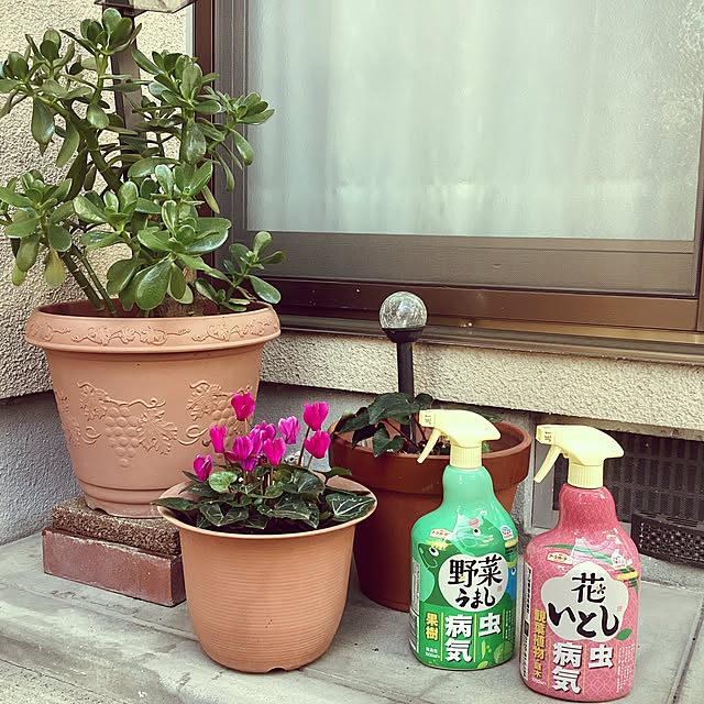richanさんの実例写真