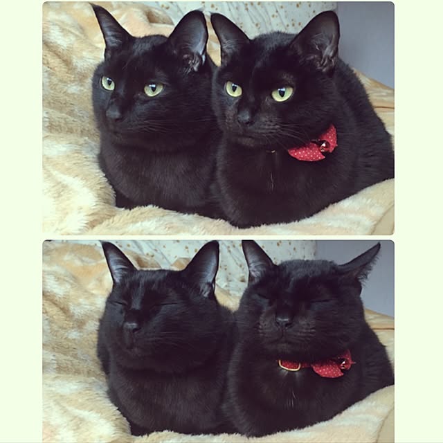 nonoさんの実例写真