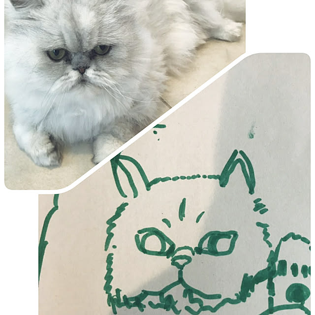 Renさんの実例写真