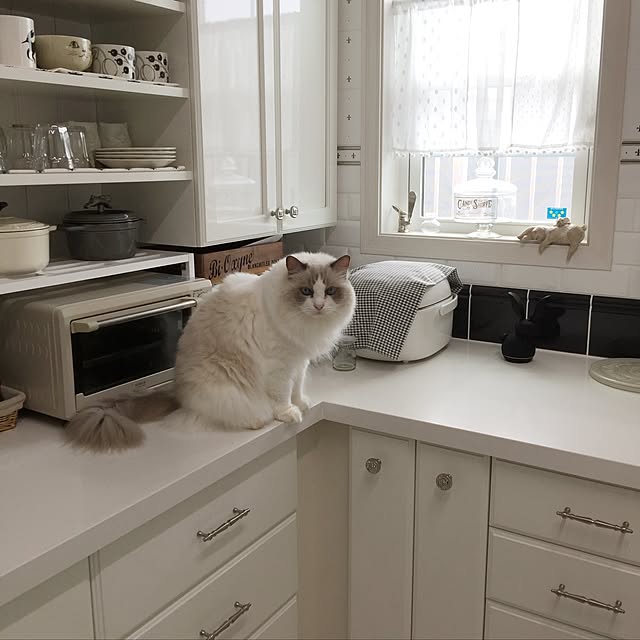 yuchiさんの実例写真