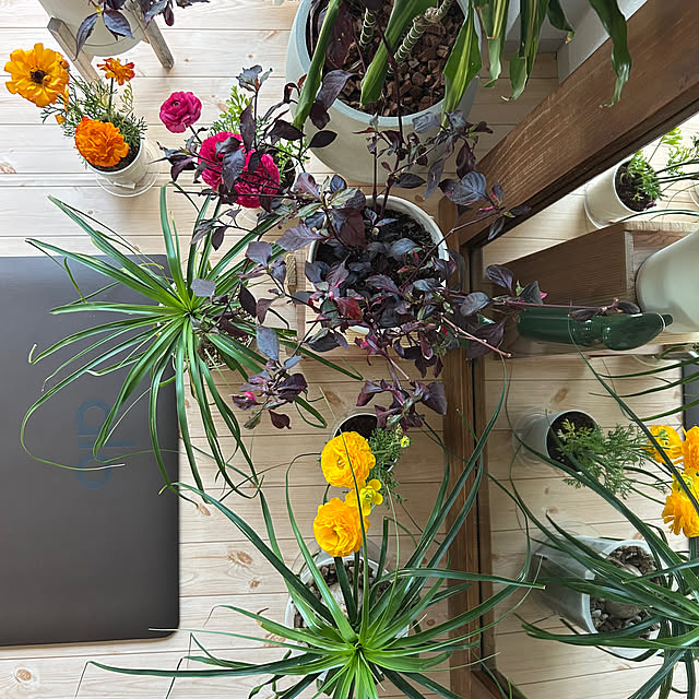 nee_roomさんの部屋