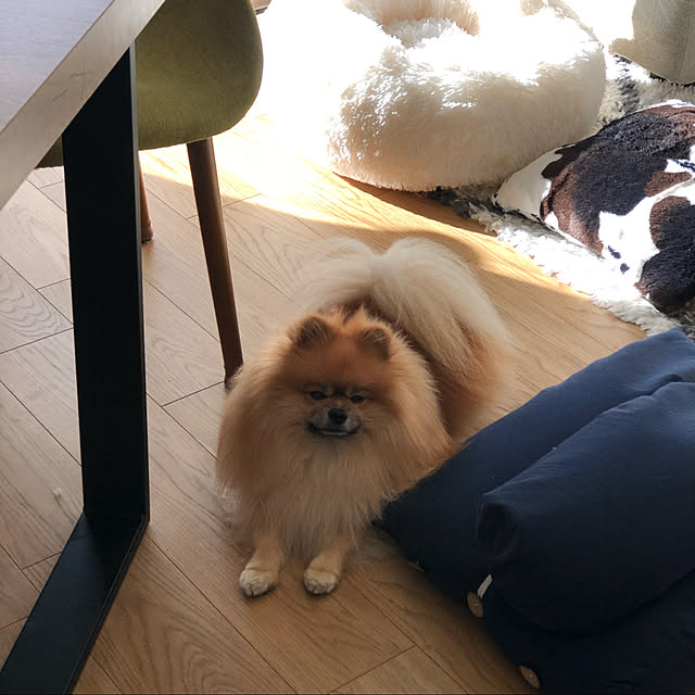 rromomo1さんの実例写真