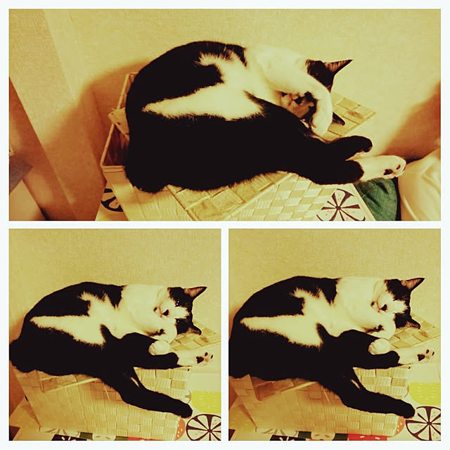 oseroさんの実例写真