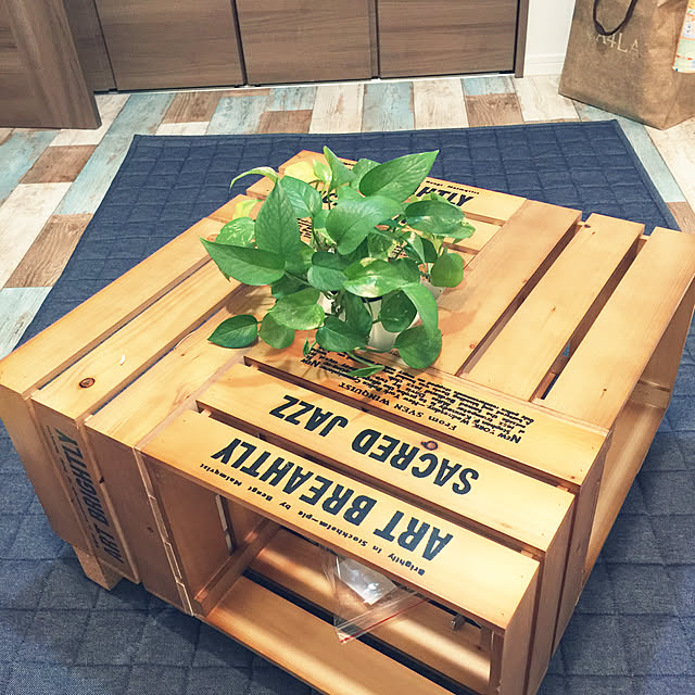 観葉植物/DIY/机/雑貨/100均...などのインテリア実例 - 2018-09-14 22:11:59
