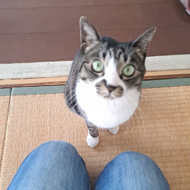 shinoさんの部屋