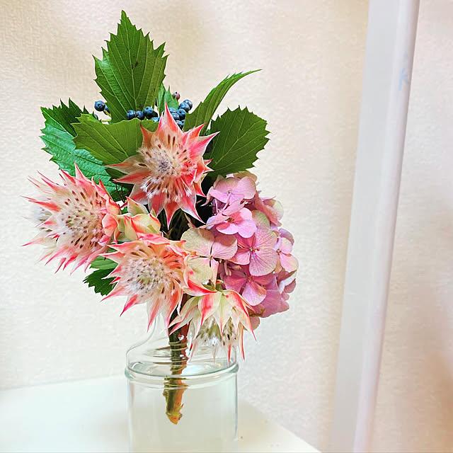 y.tora5さんの実例写真
